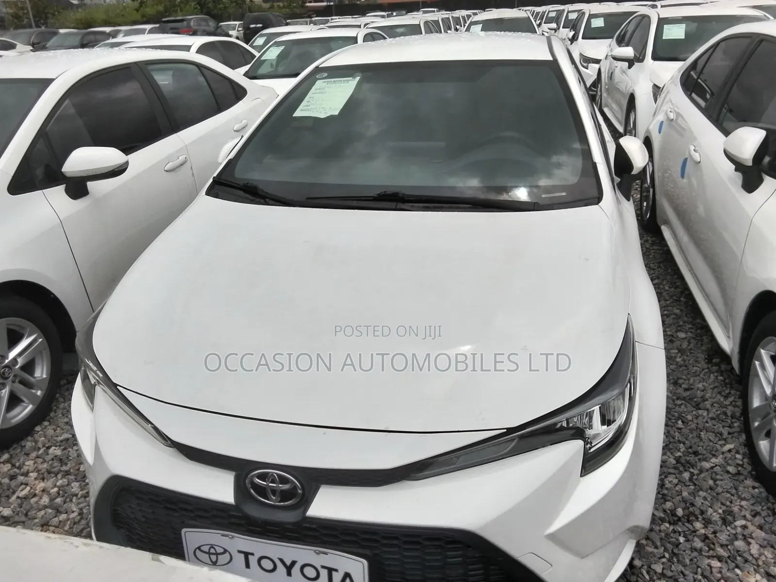 Toyota Corolla 2023 Off white