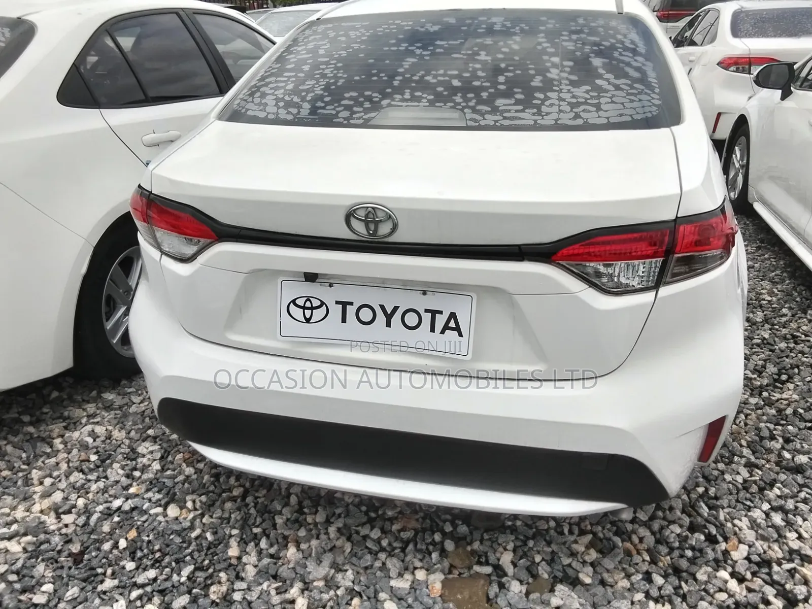 Toyota Corolla 2023 Off white