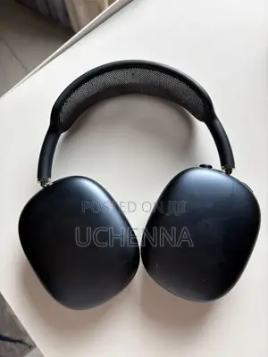 Very Clean Apple Airpod Max (No Case)