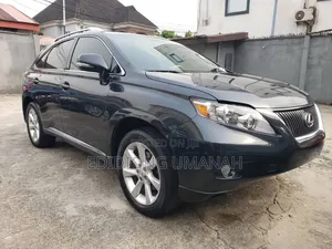 Lexus RX 2010 Gray