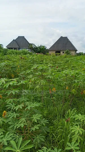 2 and Half Plots of Land