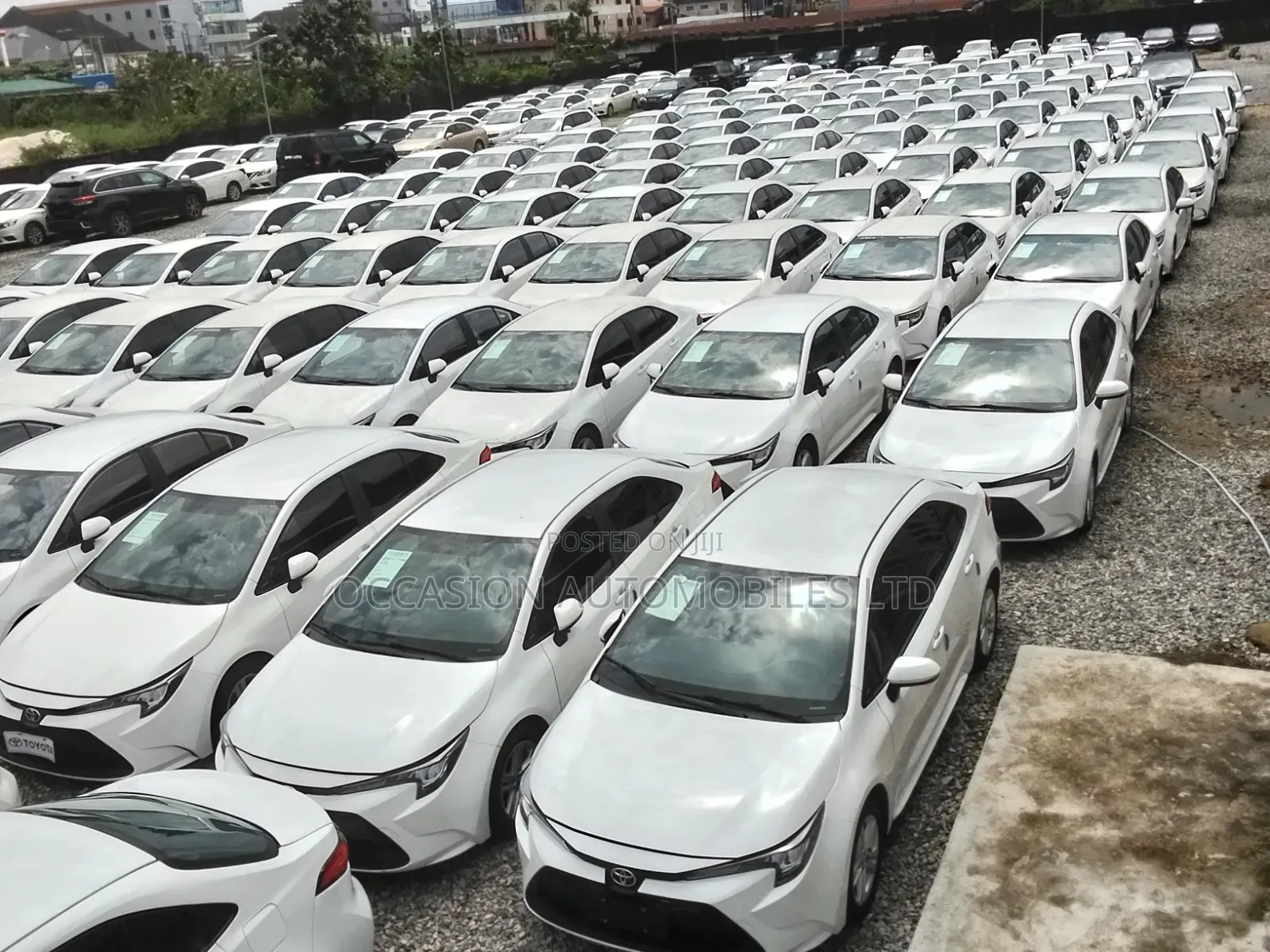 Toyota Corolla 2021 Off white