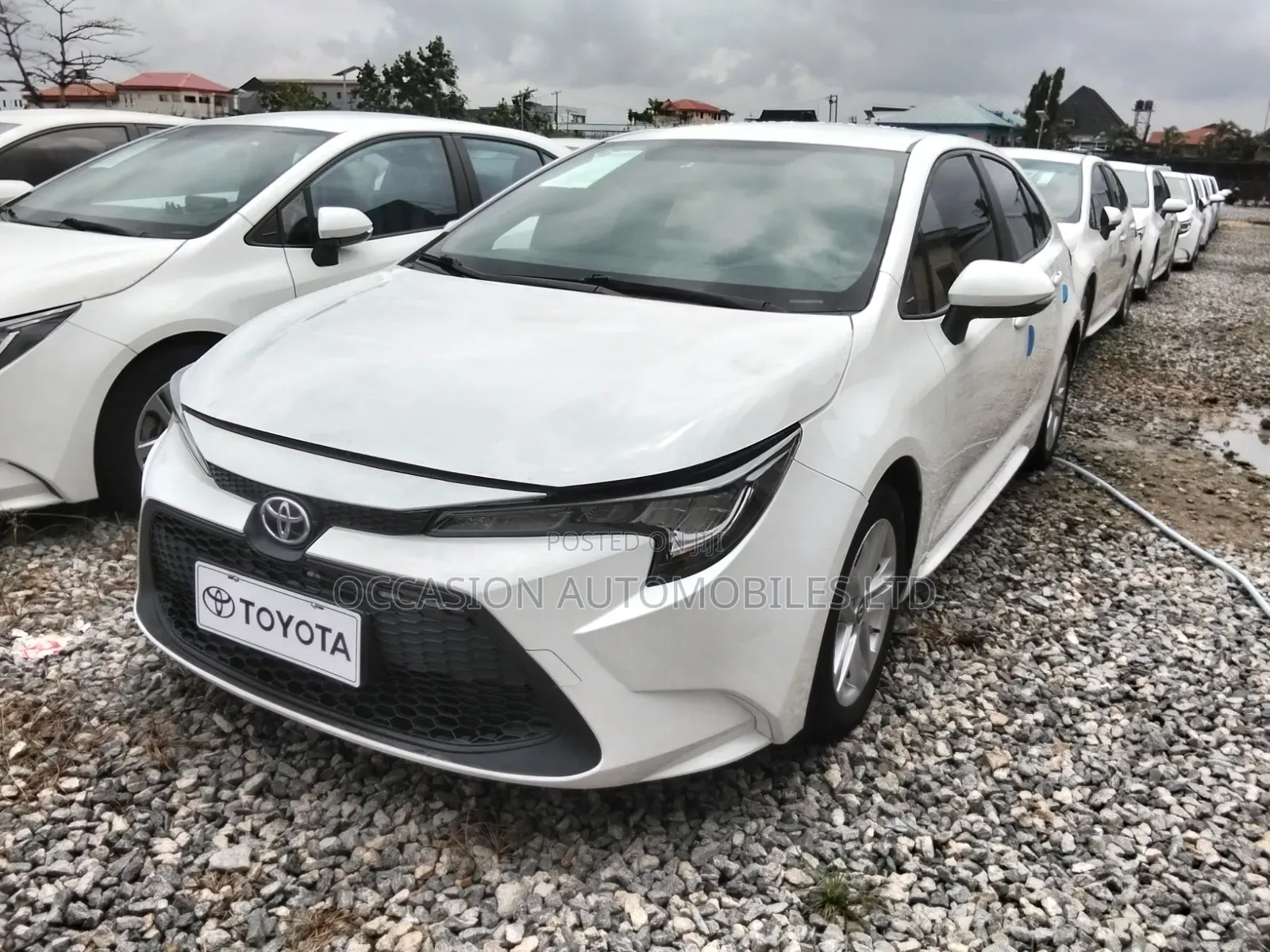 Toyota Corolla 2022 Off white