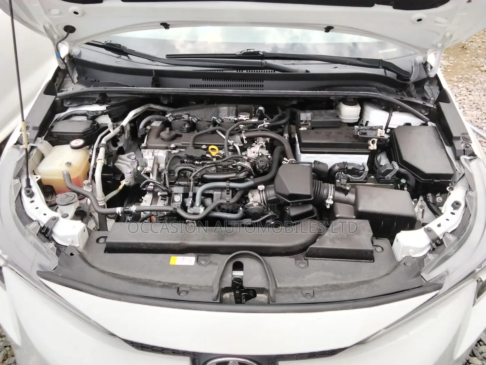Toyota Corolla 2022 Off white