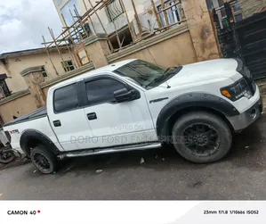 Ford F-150 2010 White