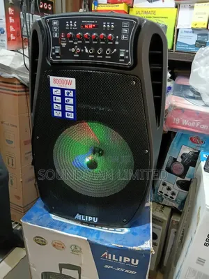 Ailipu Rechargeable PA System Speaker, 2 Mics, USB, Bluetooth SP-3510D