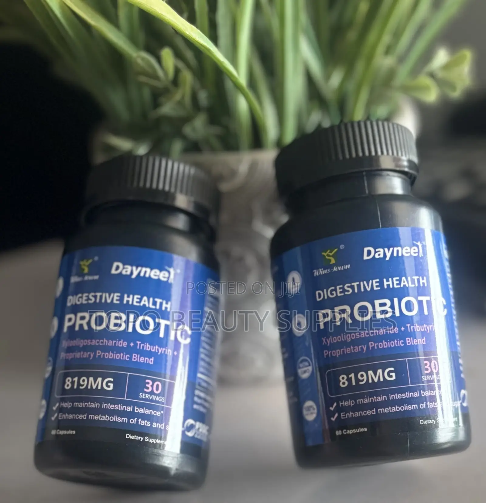 Wins Town Probiotics