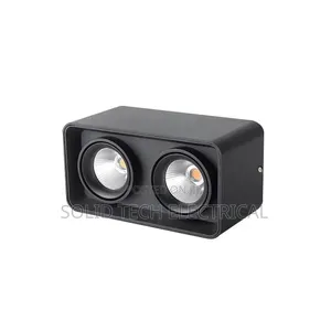 Surface Double Recess Light