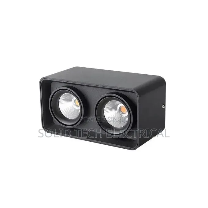 Surface Double Recess Light