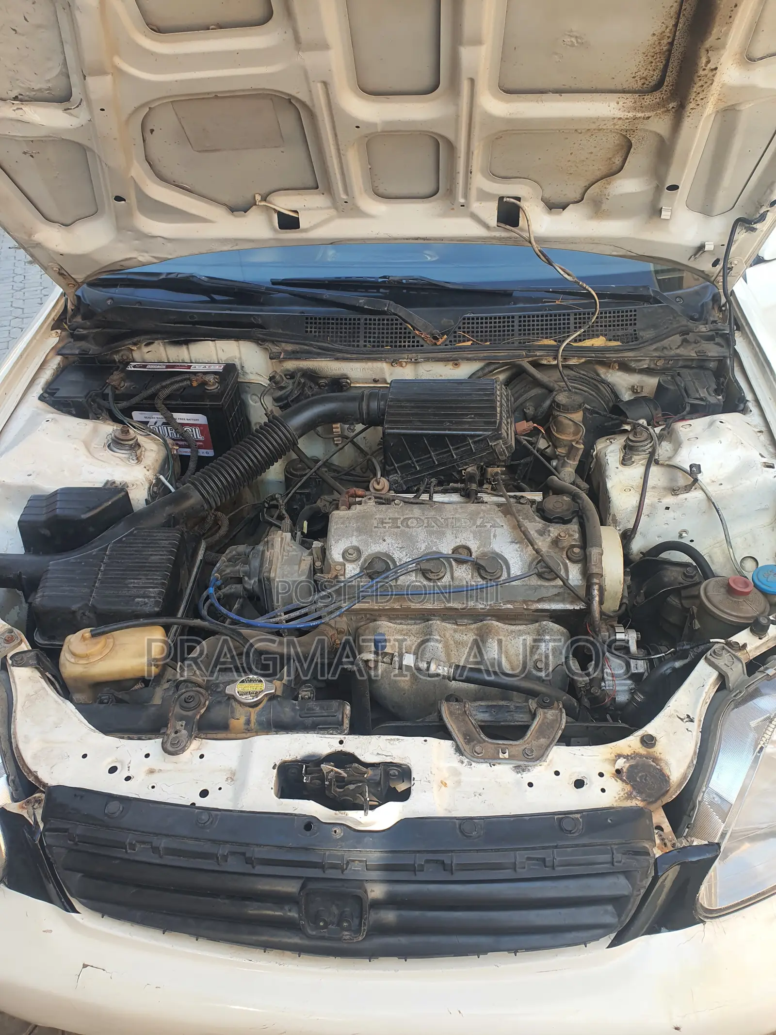 Honda Civic 2000 White