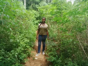 2 Plots of Dry Land