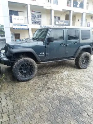 Jeep Wrangler 2010 Gray