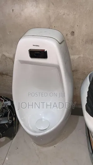 Urinary Bole