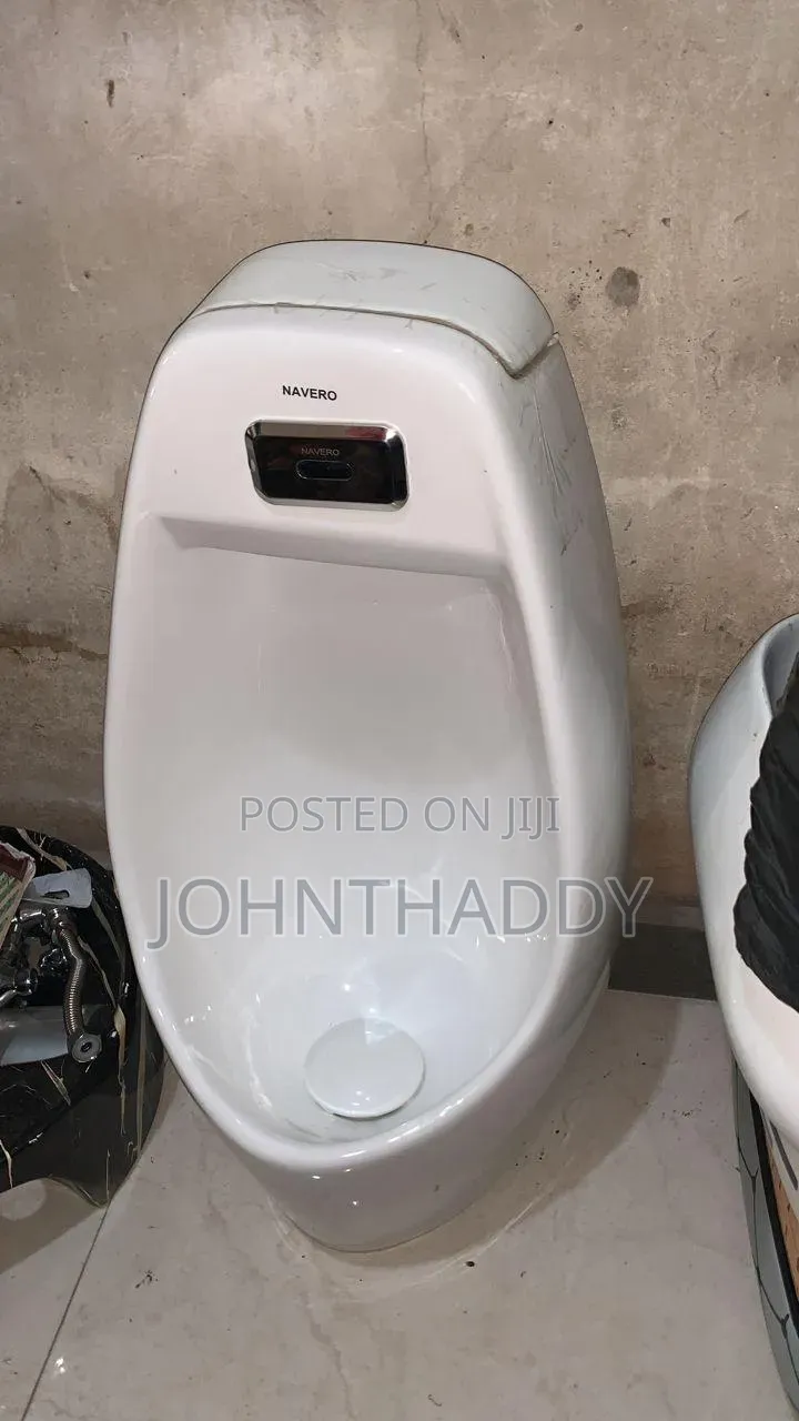 Urinary Bole