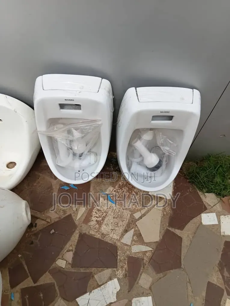 Urinary Bole