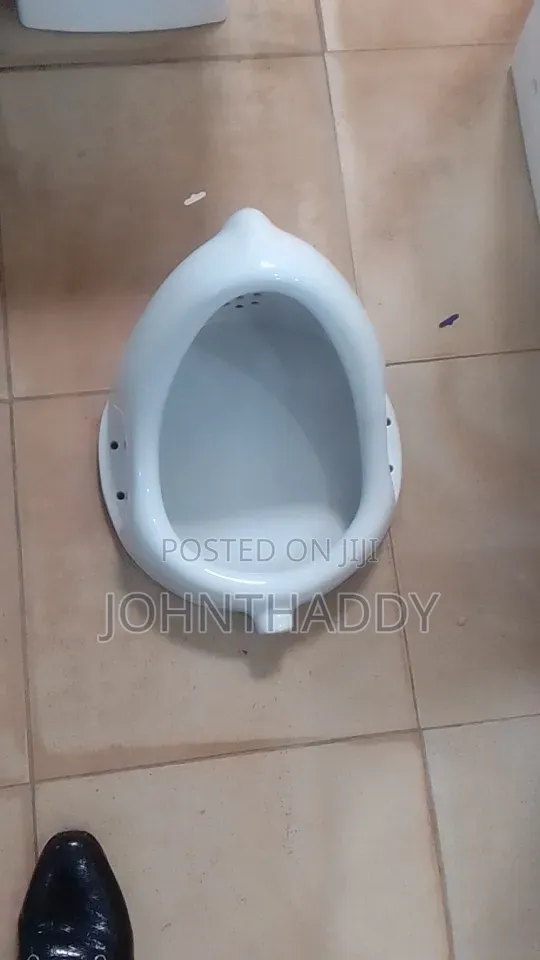 Urinary Bole