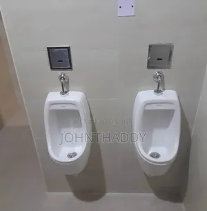 Urinary Bole
