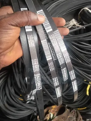 All Kinds of Belts