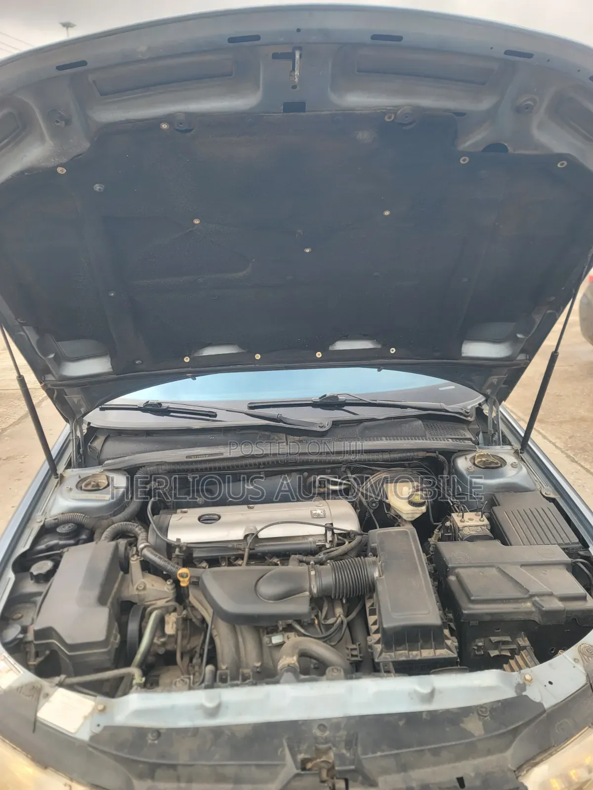 Peugeot 406 2005 Blue