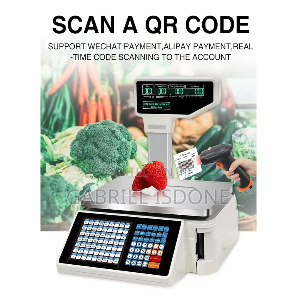 Digital Price Computing Scale 30kg/66lb Back Front Dual Display,