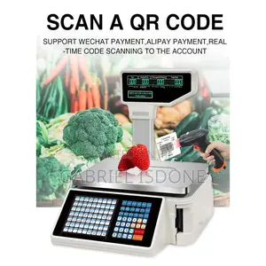 Digital Price Computing Scale 30kg/66lb Back Front Dual Display,