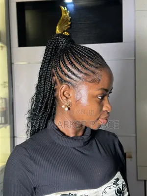 All Kinds of Braids and Hairstyles by Proffessionals