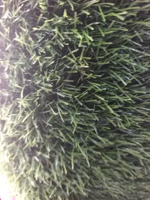 Artificial Grass.
Authenticated Fine Artificial Grass.Original Quality