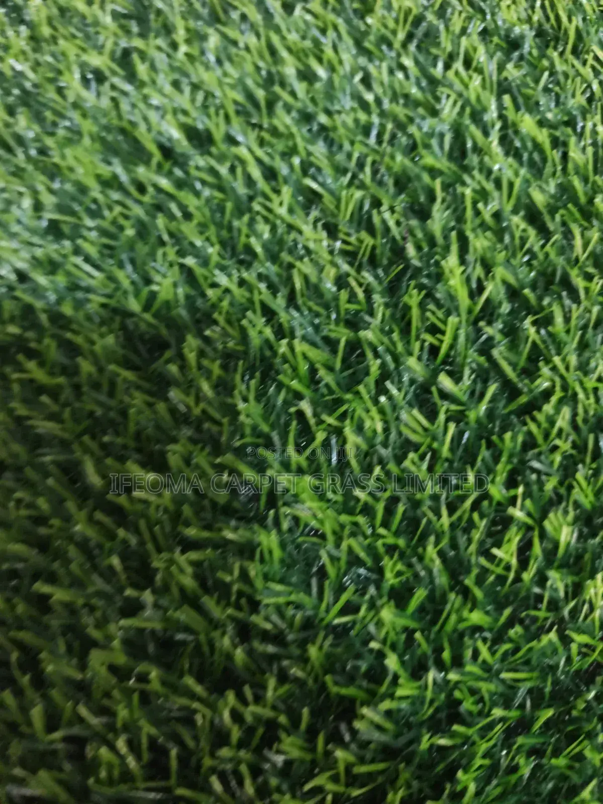 Artificial Grass 20 Mm