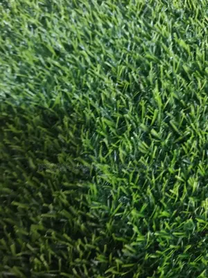 Artificial Grass 20 Mm