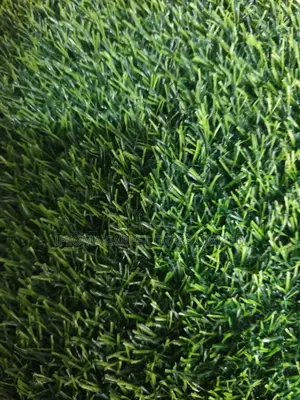 Artificial Grass 20 Mm