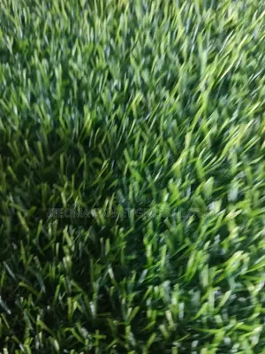 Artificial Grass 20 Mm