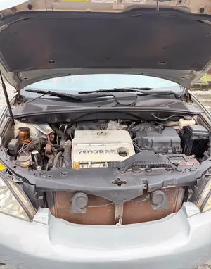 Lexus RX 330 4WD 2005 Gray