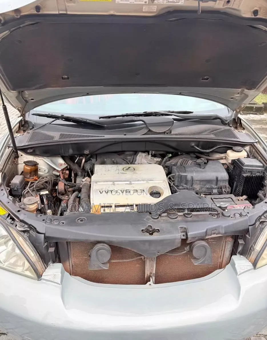 Lexus RX 330 4WD 2005 Gray