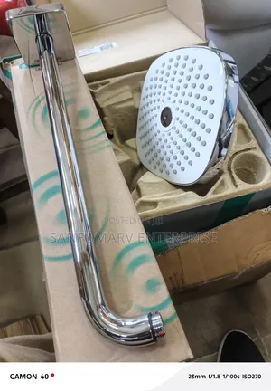 Hansgrohe Shower Head With Arm