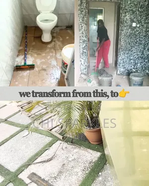 Chi Sparkles Cleaning Service