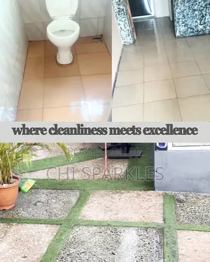 Chi Sparkles Cleaning Service