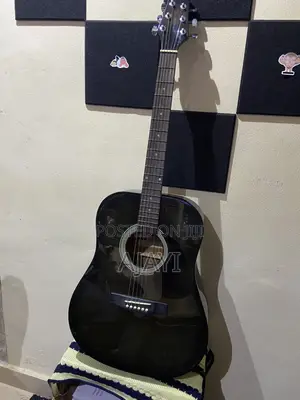 Steel-String Acoustic Guitar
