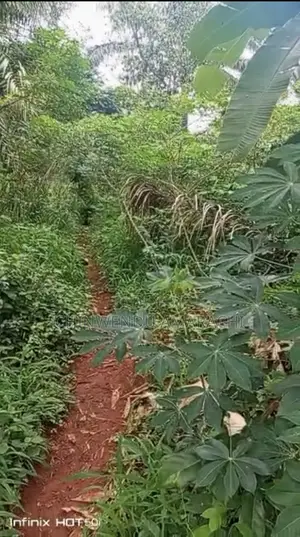 Lands for Sale