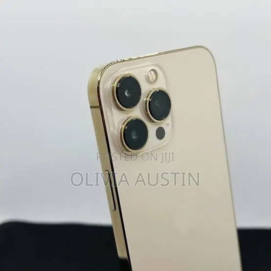 Apple iPhone 13 Pro Max 256 GB