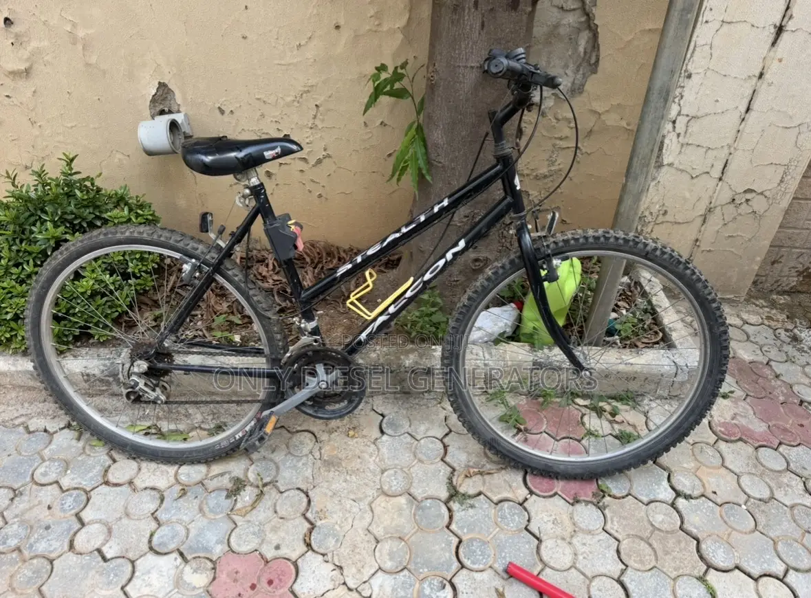 Bicycle Stealth Falcon 19frame