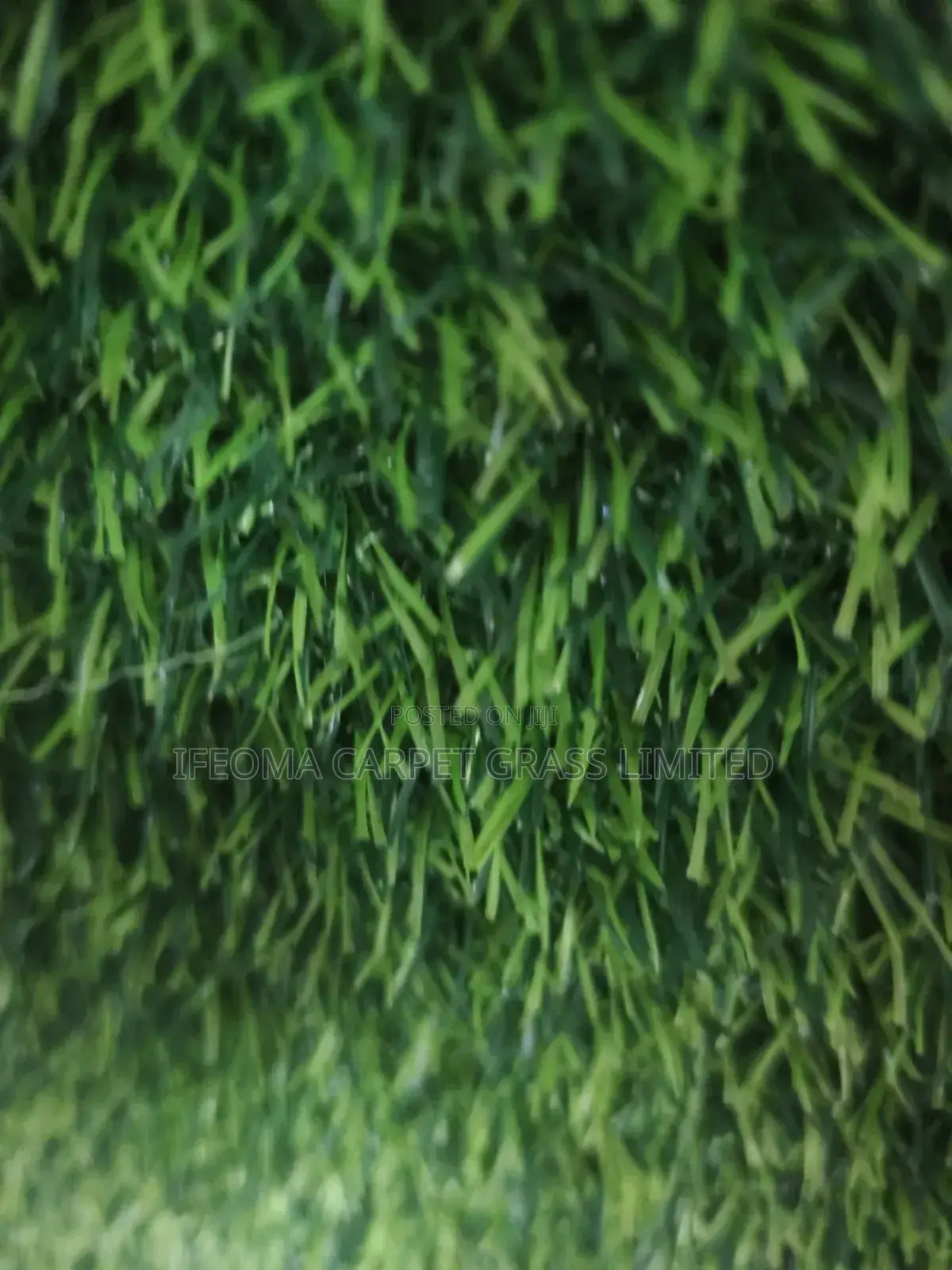 Artificial Grass.Full Roll Available in Different Sizes, Colours.