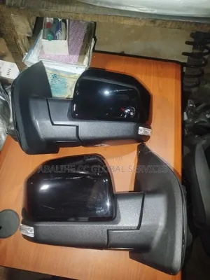 Ford F150 Complete Mirror