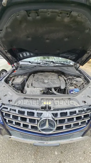 Mercedes-Benz M Class 2013 Blue