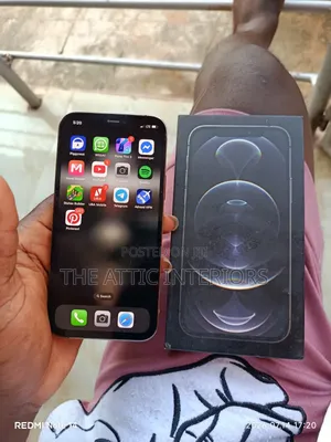 Apple iPhone 12 Pro 256 GB Gray