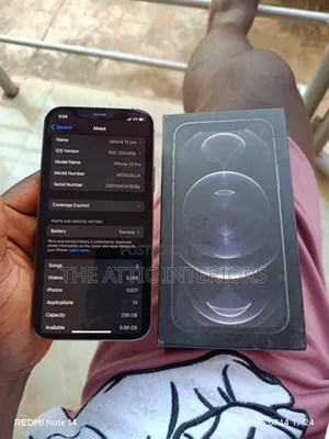 Apple iPhone 12 Pro 256 GB Gray