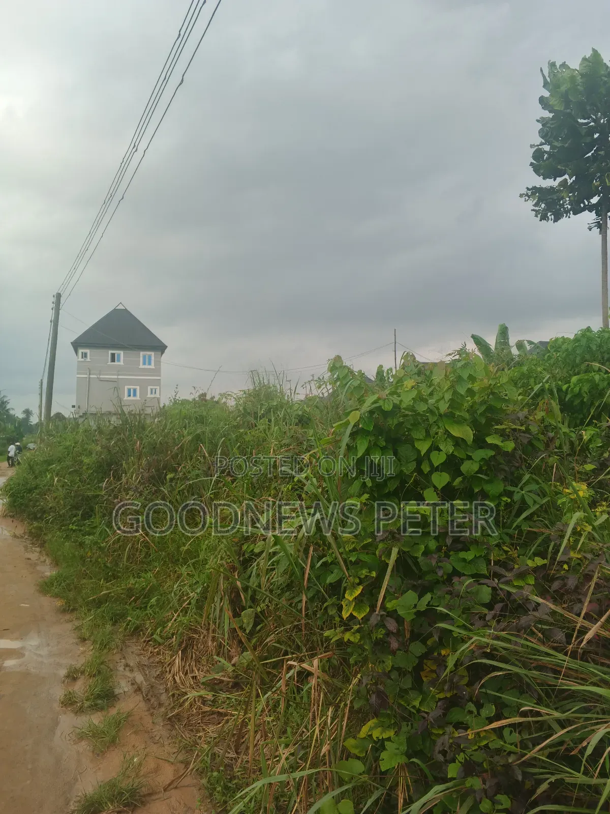 Registered Deed