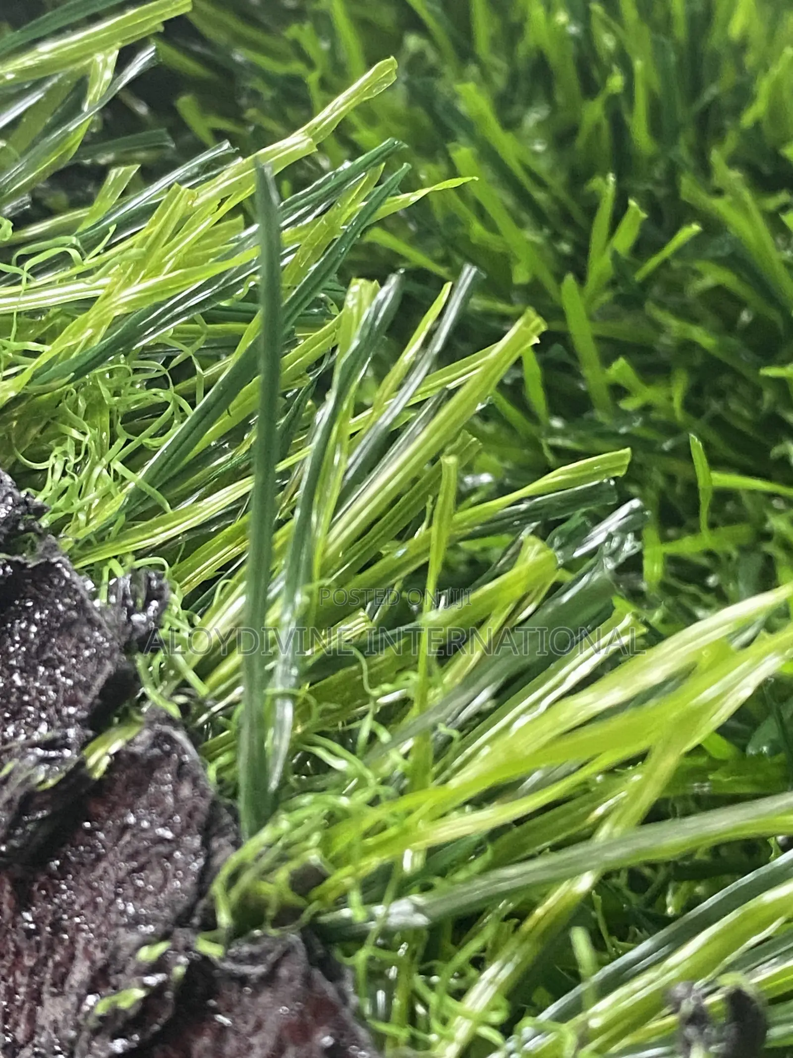 Super Standard 40MM Artificial Grass