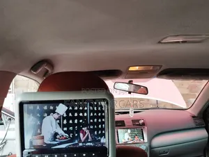 DVD Headrest