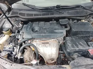 Toyota Camry 2010 Gray