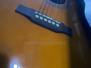 Semi Acoustic Guitar